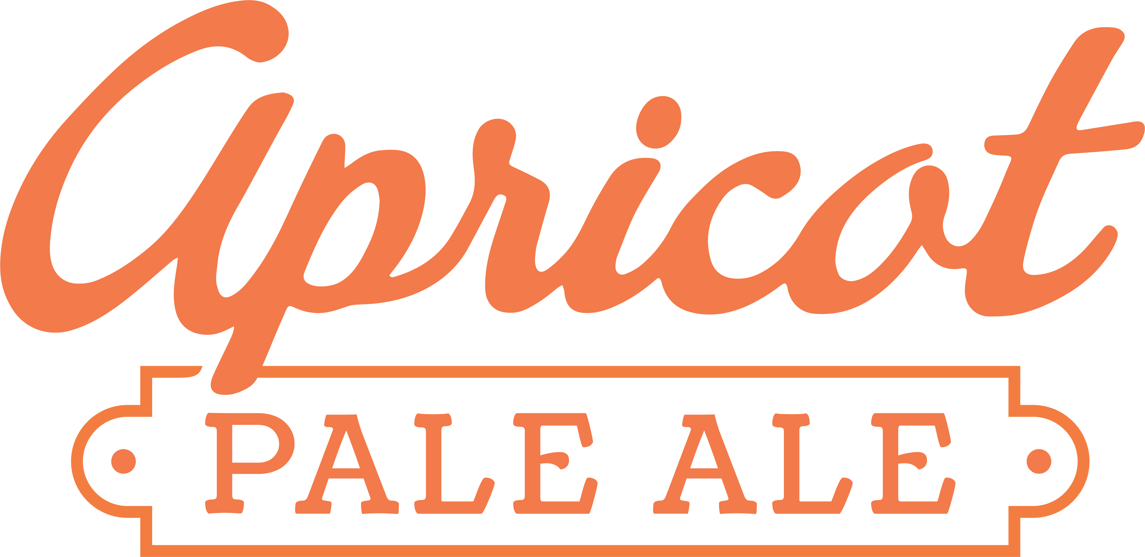Apricot Pale Ale